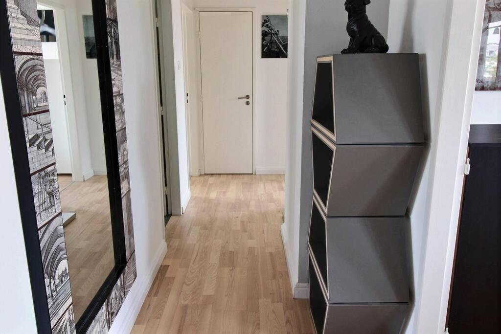 3 Pieces En Plein Centre De Strasbourg 아파트 외부 사진
